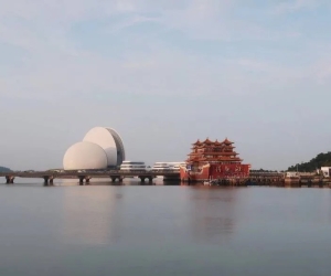 白天的大“海鲜”到了晚上就变成城市的一轮明月，这种“社会景观建筑”也蛮好。