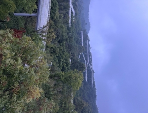 成都龙泉山城市森林公园