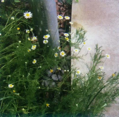 585463_7.jpg.jpg
