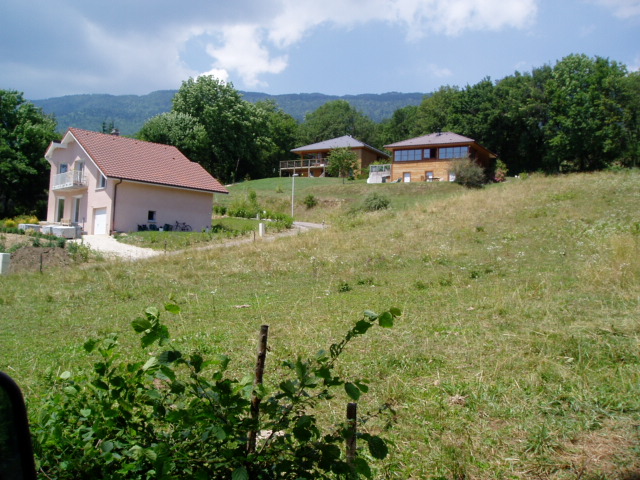 254303_3.jpg.jpg