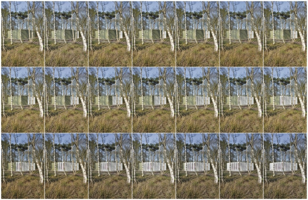 311856_22.jpg.jpg