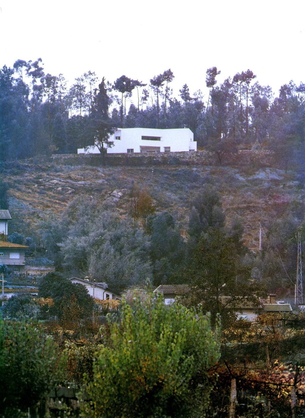 70908_1.jpg.jpg