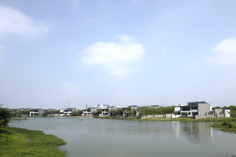 468687_9.jpg.jpg