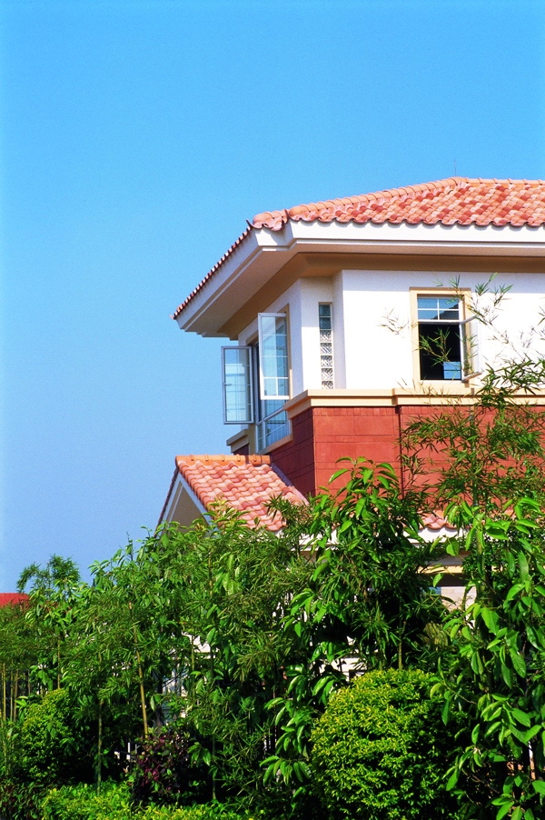390287_20.jpg.jpg