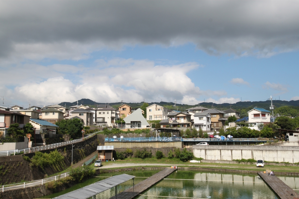 150532luiuhq7h7lmpkxxg.jpg.jpg