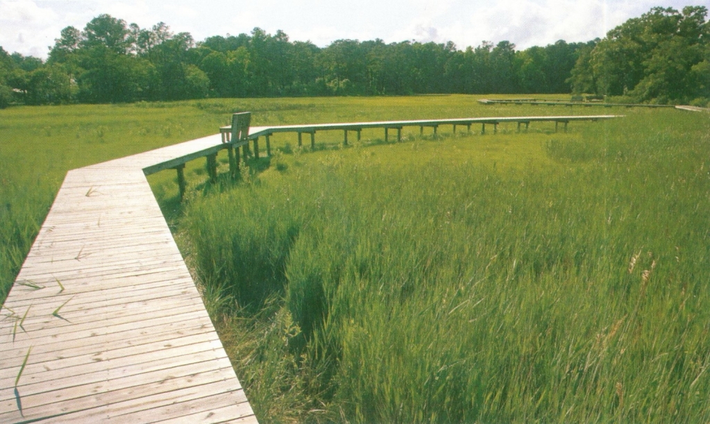 279739_26.jpg.jpg