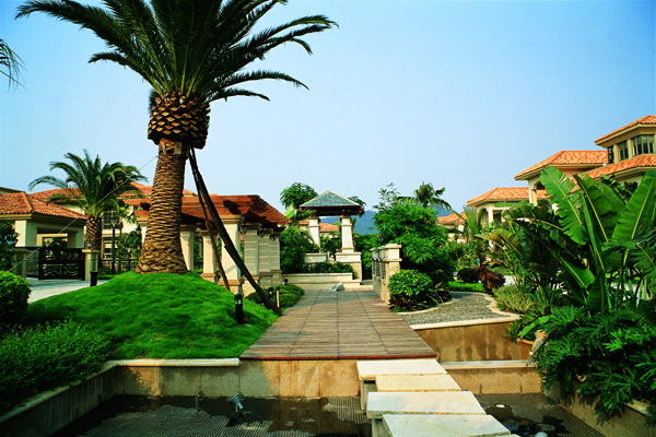 390075_31.jpg.jpg