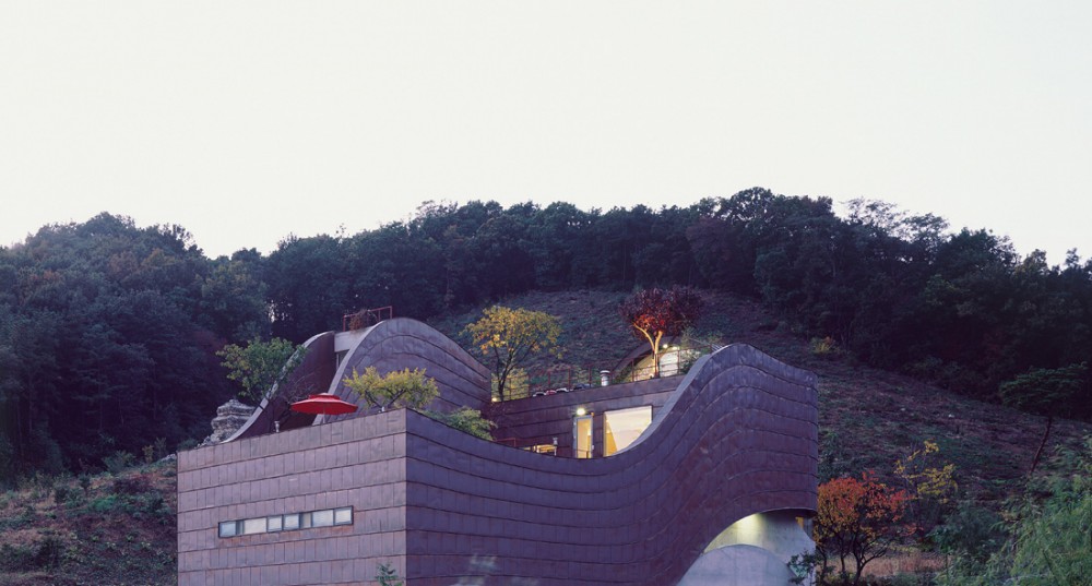 315393_3.jpg.jpg