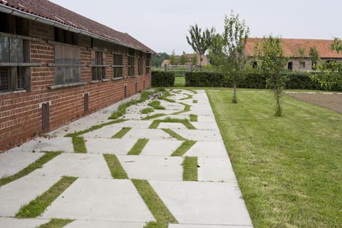 382296_8.jpg.jpg