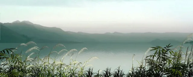 A颐龙湾动画片02.webp