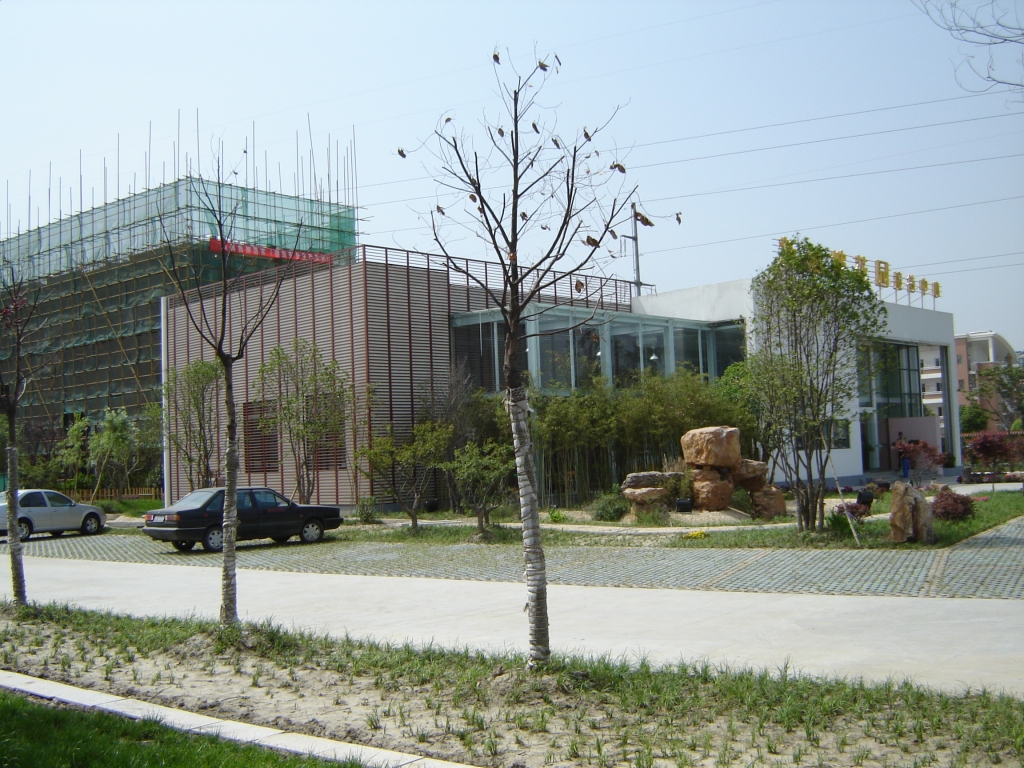 25350_6.jpg.jpg