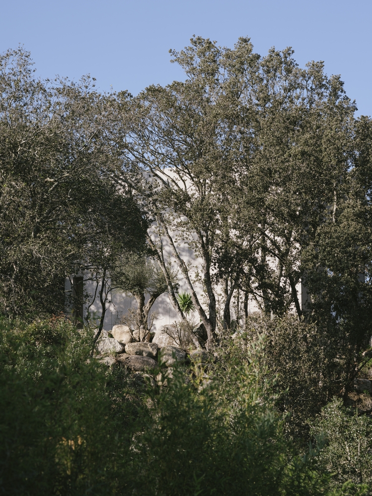 111932s5m5a1sjdohpjrnp.jpg.jpg