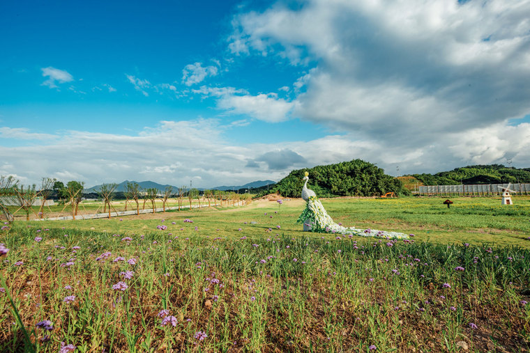 resize,w_760.jpg