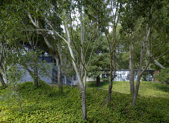 392889_5.jpg.jpg