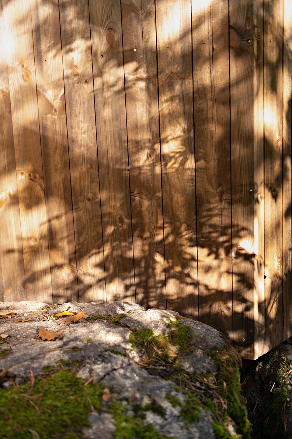 T1Jdx_BXLv1RCvBVdK.webp.webp