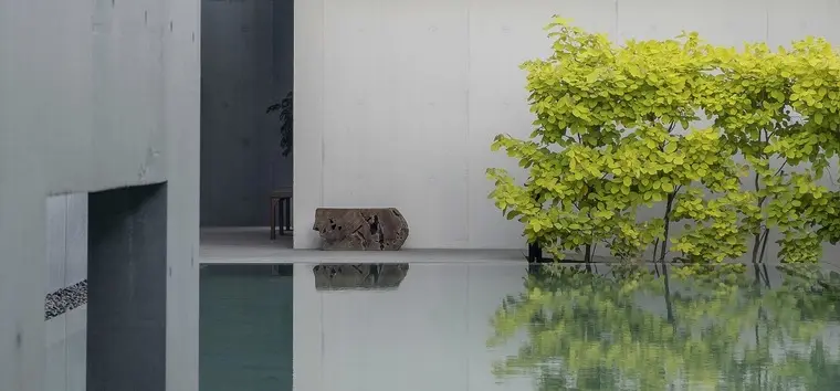 resize,w_760.webp