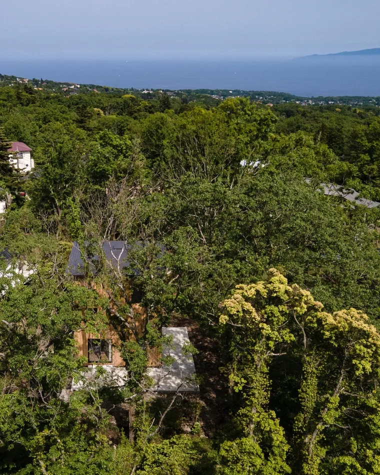 resize,w_760.webp
