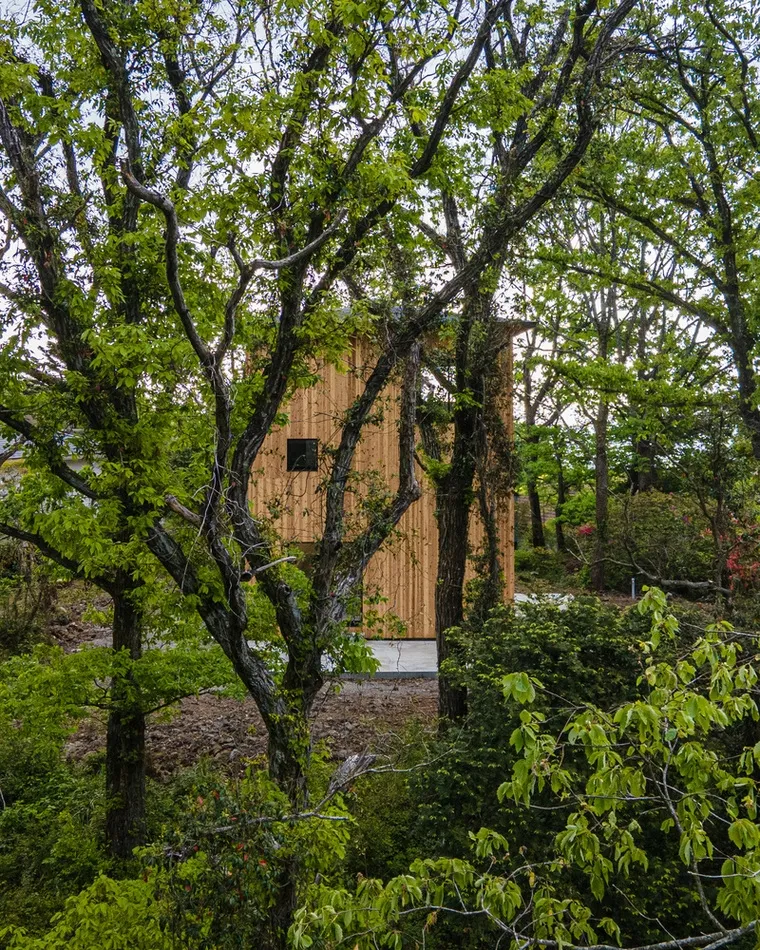 resize,w_760.webp
