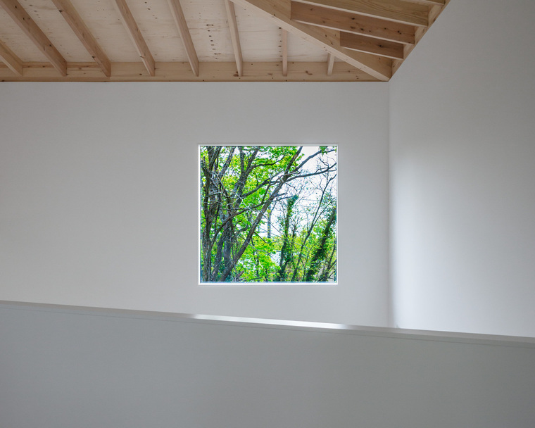 resize,w_760.jpg