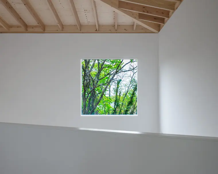 resize,w_760.webp