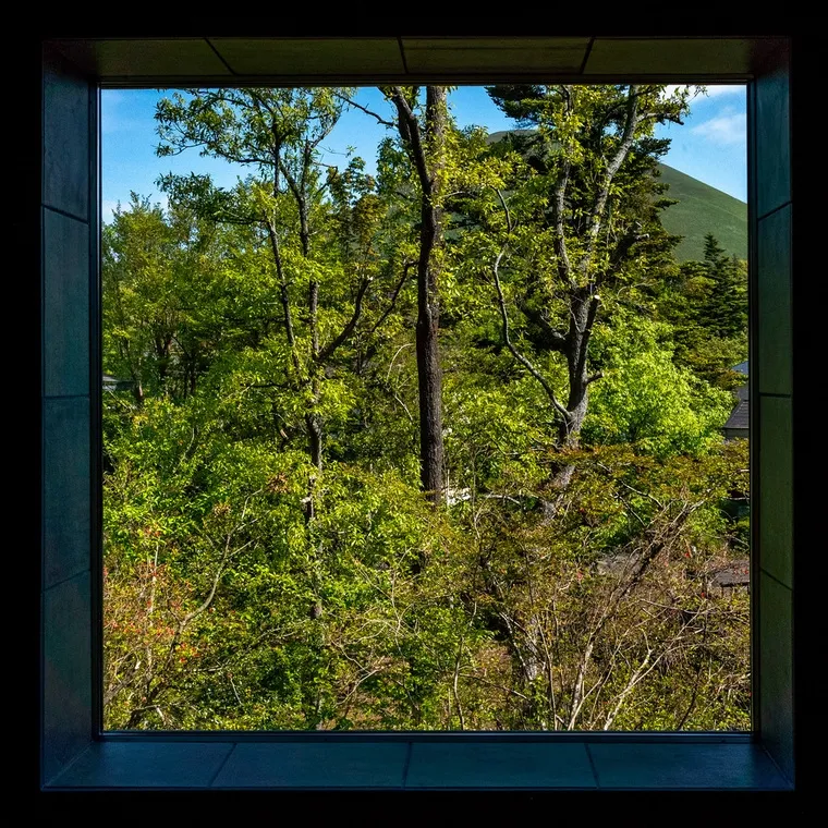 resize,w_760.webp