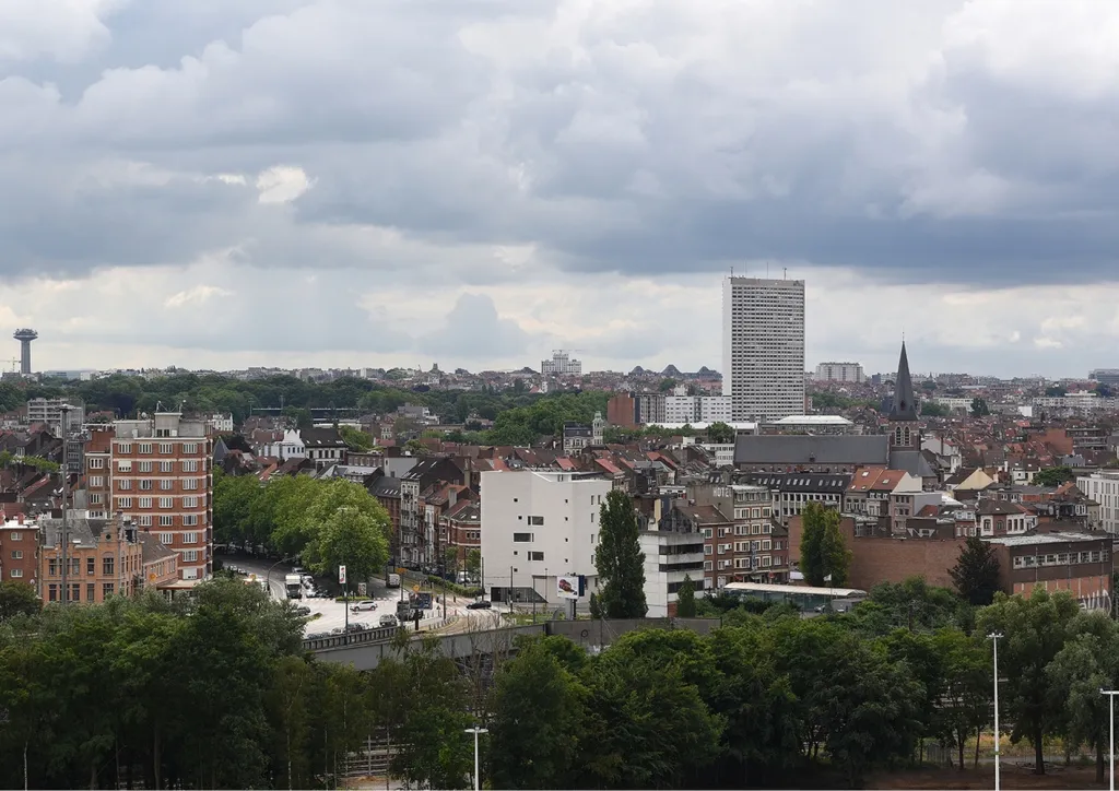 T15jATByhT1RCvBVdK.webp.webp