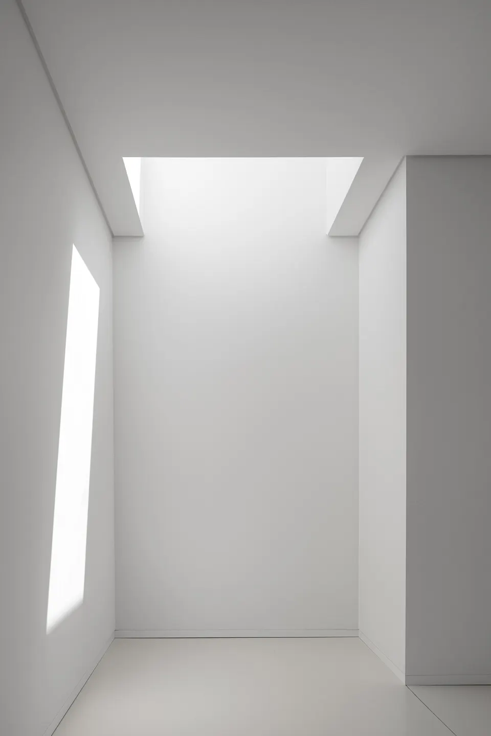 T1tWdvBXhT1RCvBVdK.webp.webp
