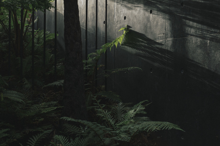 resize,w_760.jpg