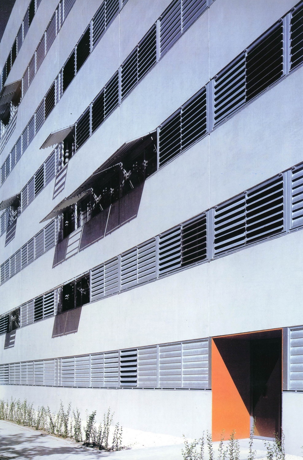 64433_26.jpg.jpg