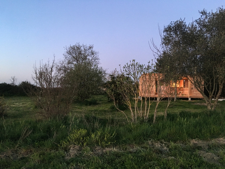resize,w_760.jpg