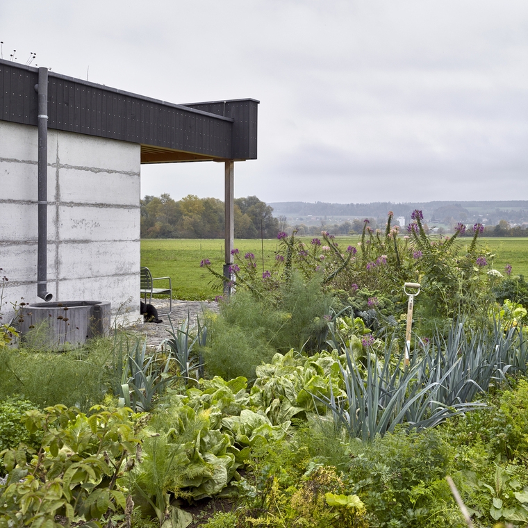 resize,w_760.jpg