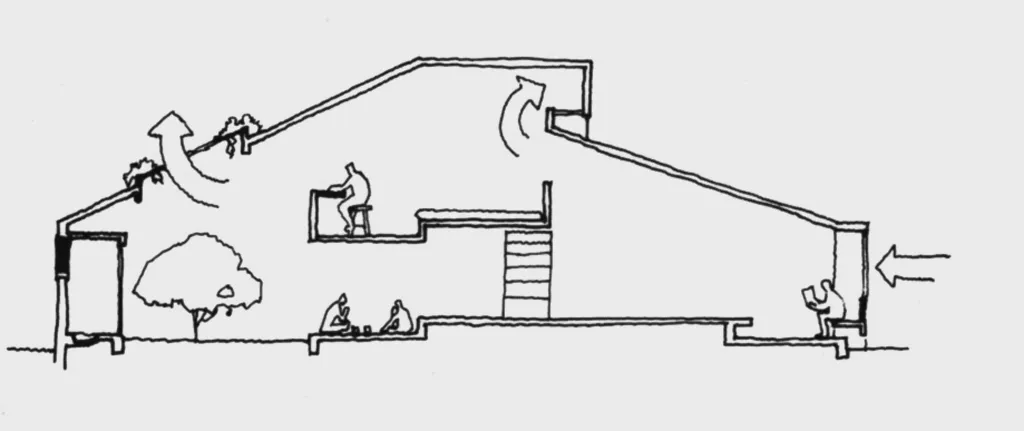 17947_2.webp.webp