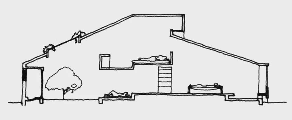 17946_1.webp.webp
