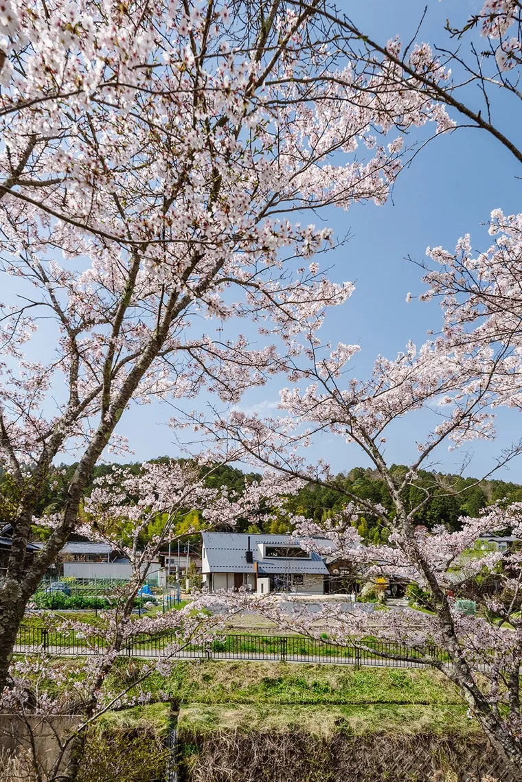 resize,w_760.webp