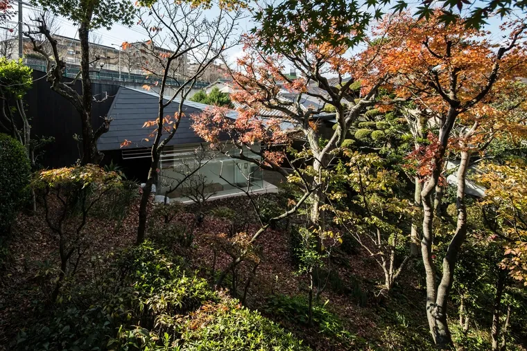 resize,w_760.webp