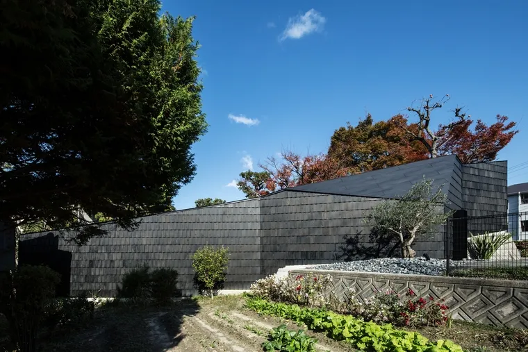 resize,w_760.webp