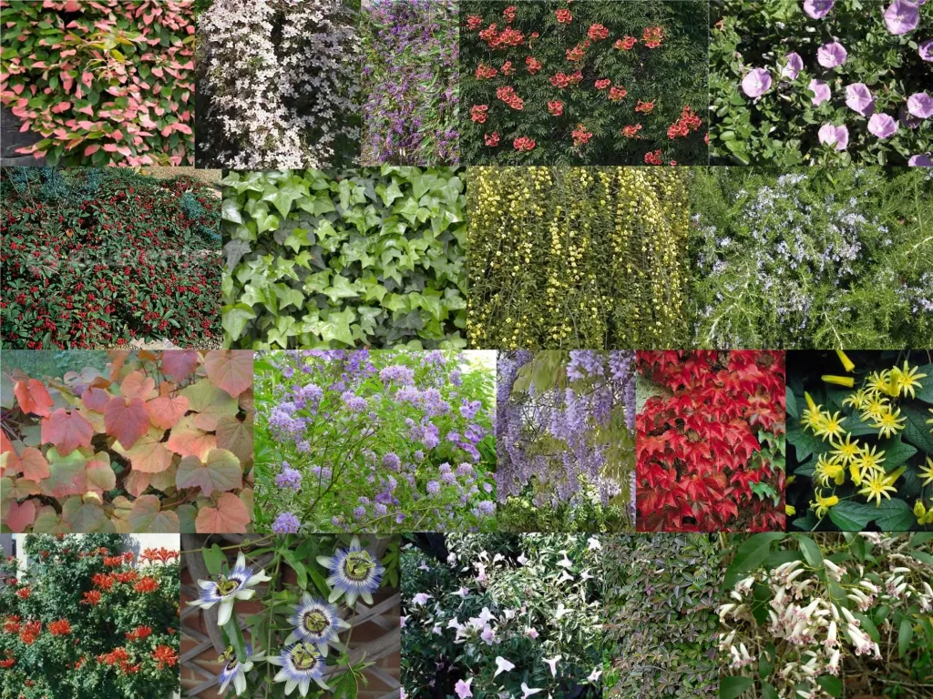 101450rnoraa163ldpu0kyhqi4r.webp.webp