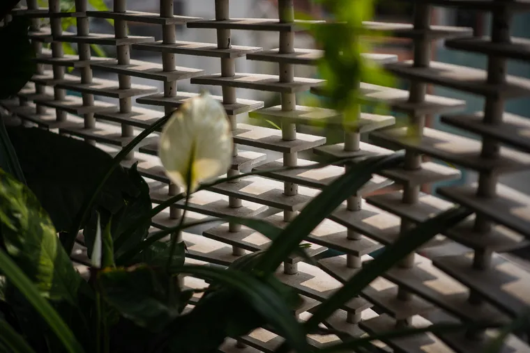 resize,w_760.webp
