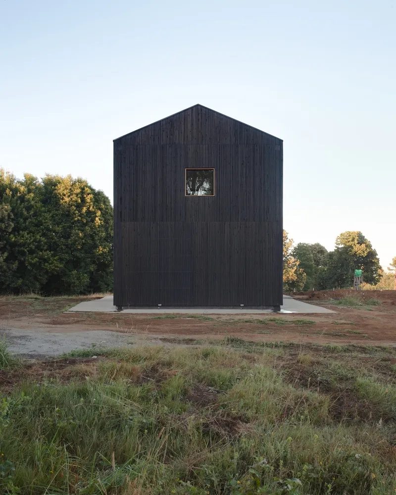 T1Ikh_BX_T1RCvBVdK.webp.webp