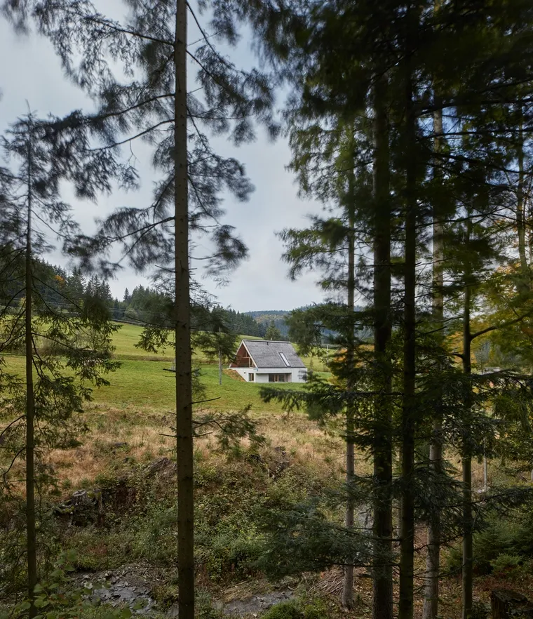 resize,w_760.webp