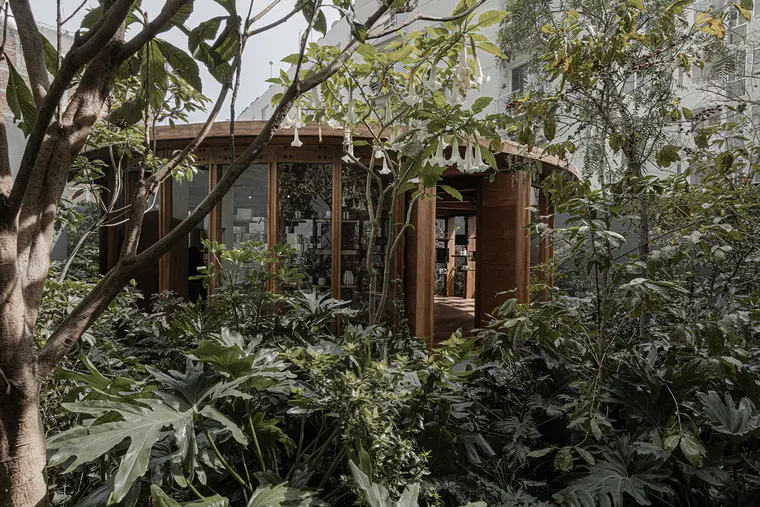 resize,w_760.webp