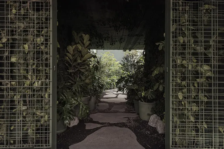 resize,w_760.webp