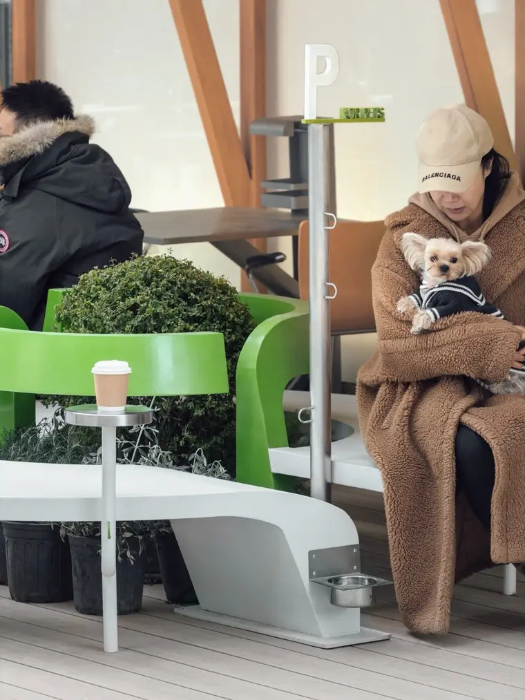 resize,w_760.webp