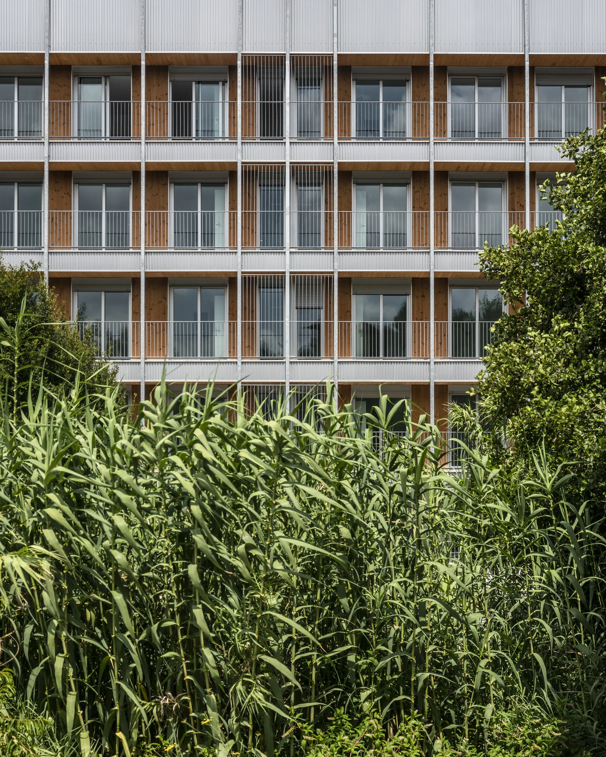 4栋建筑，74套公共推广住宅，位于庞特维德拉 Valdecorvos Díaz y Díaz Arquitectos_.webp