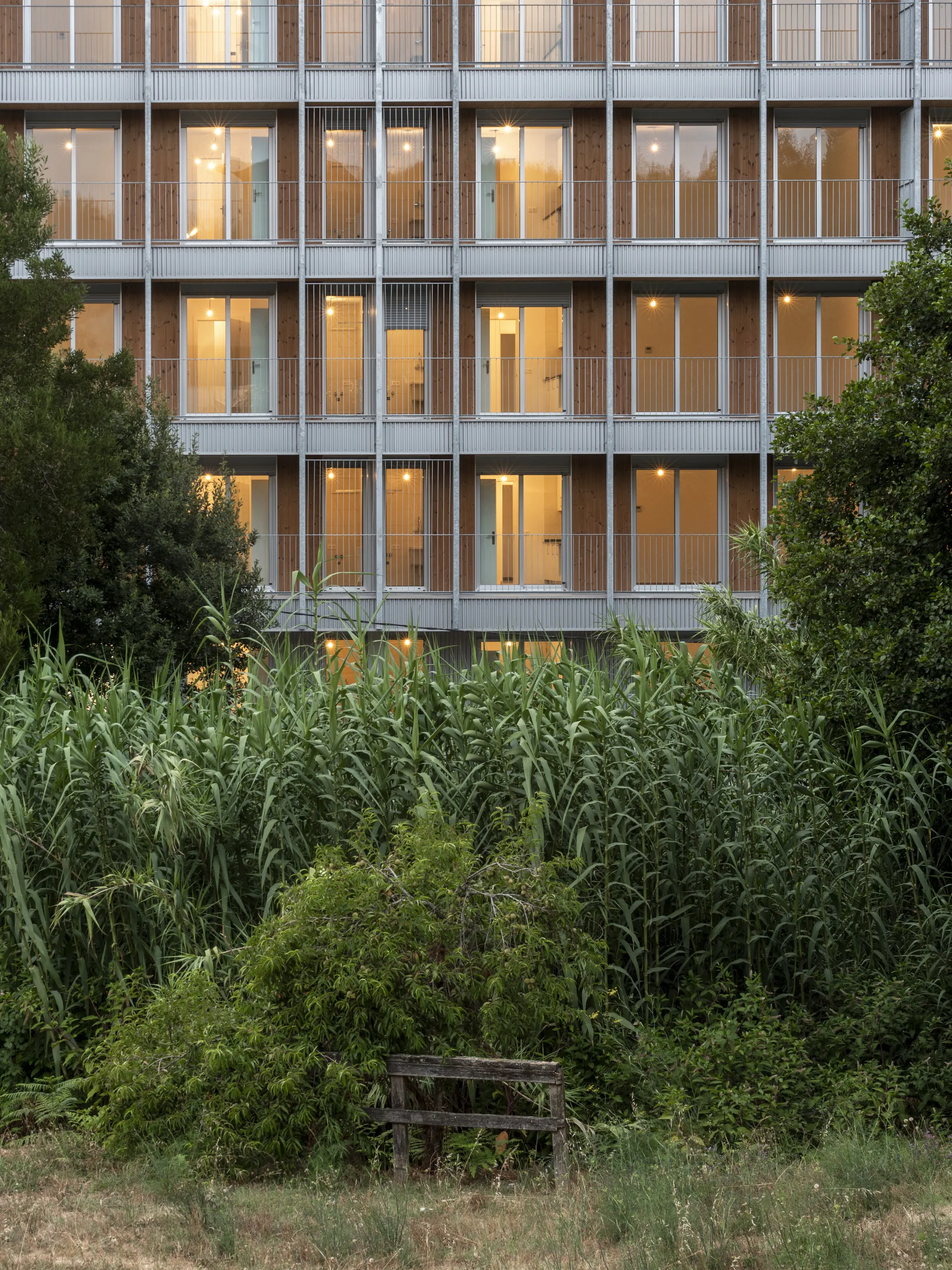 4栋建筑，74套公共推广住宅，位于庞特维德拉 Valdecorvos Díaz y Díaz Arquitectos_.webp
