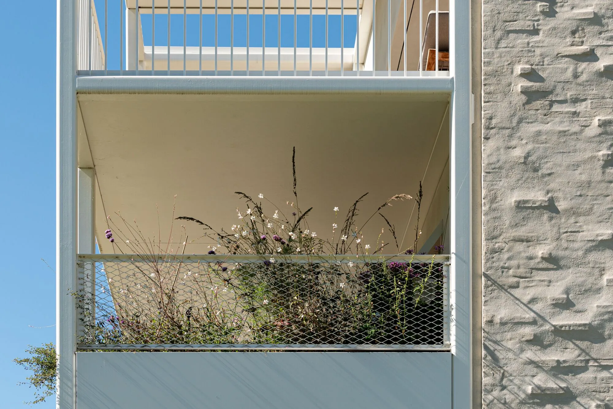 Abdijbeke 住宅 Declerck-Daels Architecten_1174470_13.webp