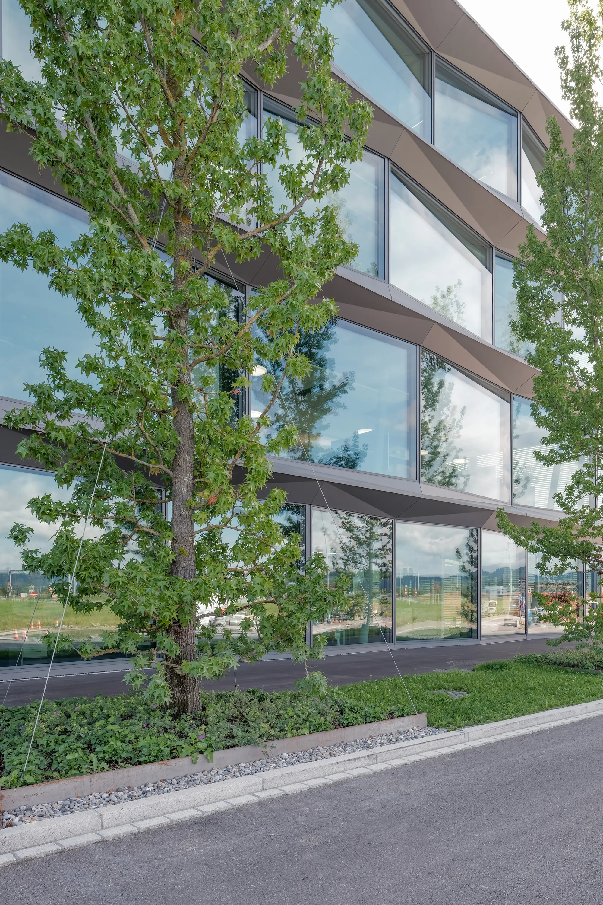 Aepli 新总部，Sommerau Waldburger   Partner   StudioBoA_1175142_7.webp
