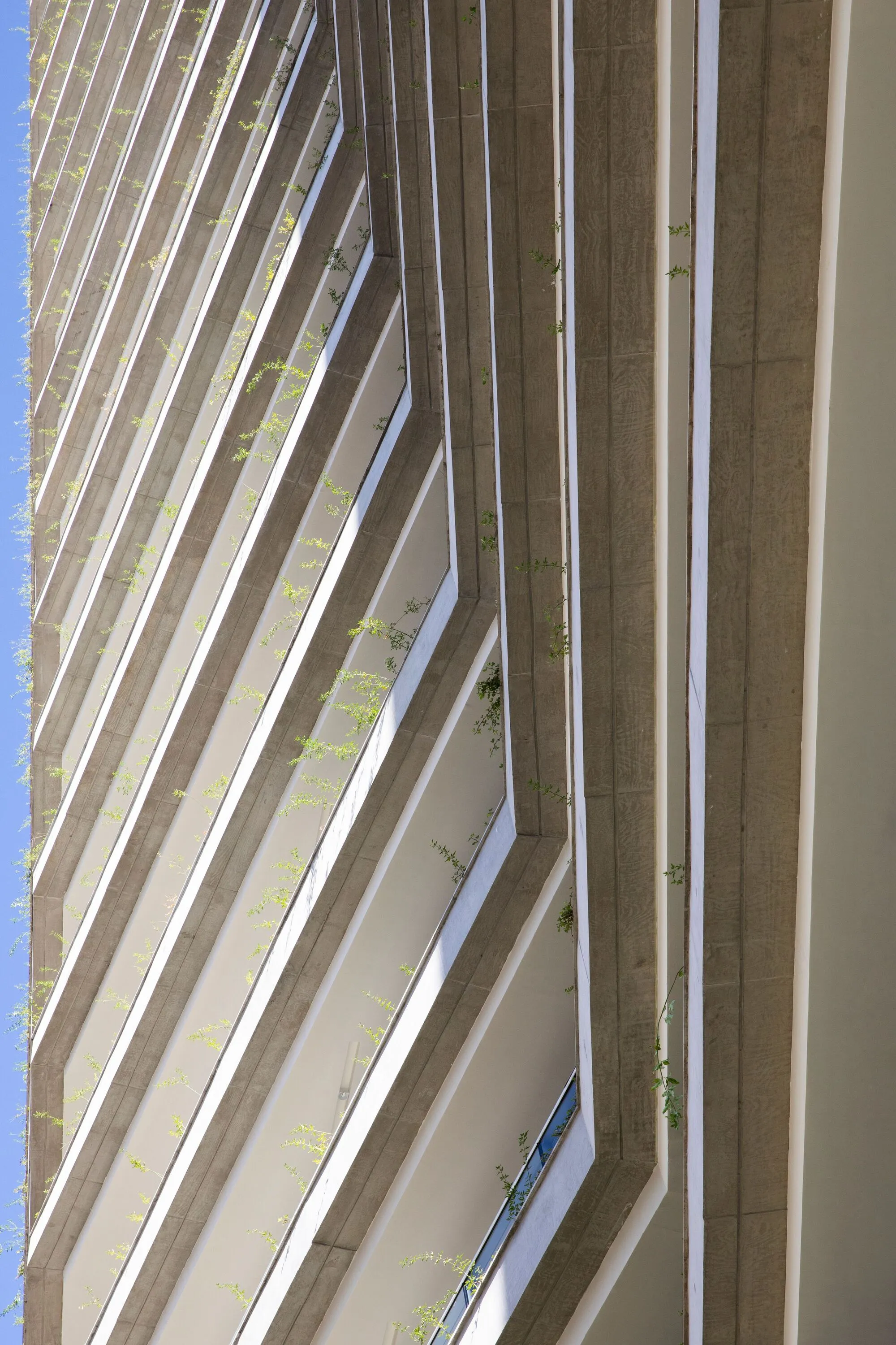 Alameda Jardins 大楼 aflalo gasperini arquitetos_1174436_7.webp