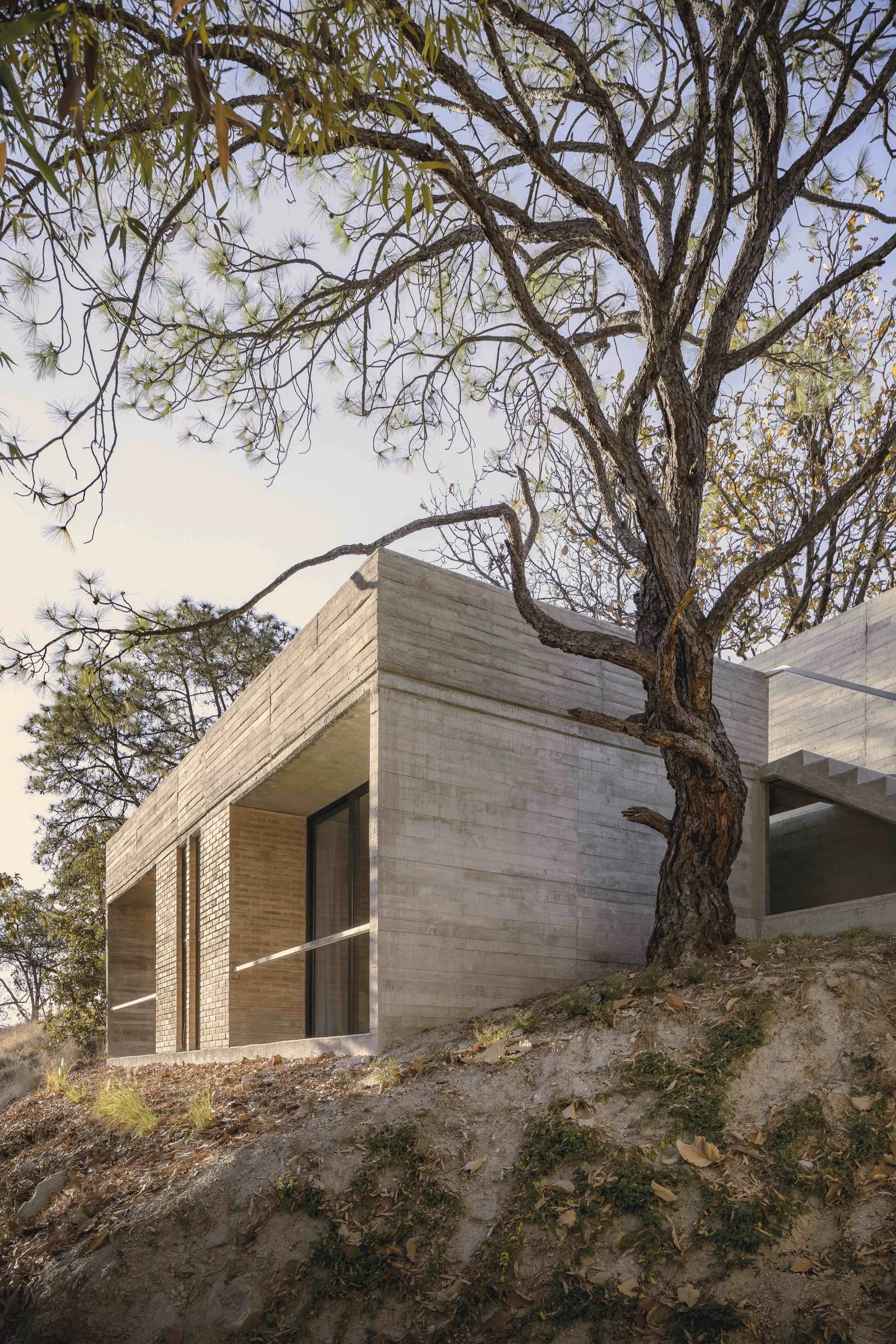 Amapa 住宅 Pérez Gómez Arquitectura_1176309_2.webp