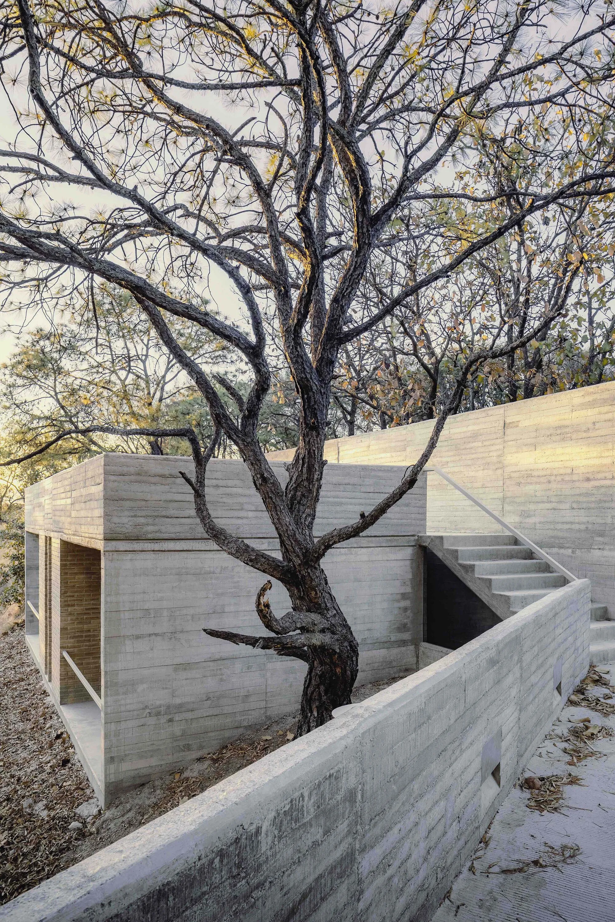 Amapa 住宅 Pérez Gómez Arquitectura_1176309_7.webp